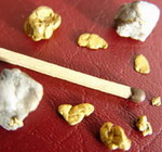 Золотины массой от 150 мг. найдены металлодетектором Eureka Gold